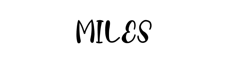 Blooms  Free Fonts Download