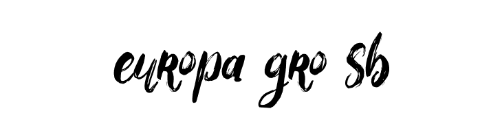 Bigarus  Free Fonts Download