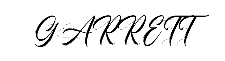 Champagne  Free Fonts Download