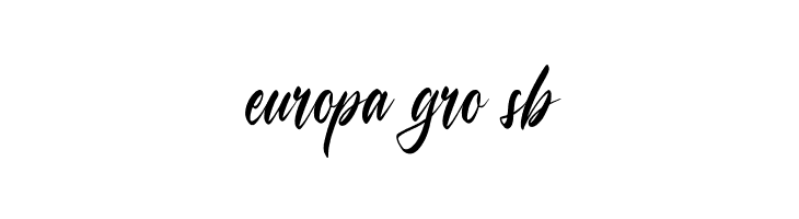 Champagne  Free Fonts Download