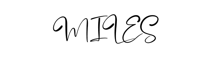 Brandon Smith  Free Fonts Download