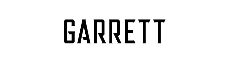 Alter Regular  Free Fonts Download