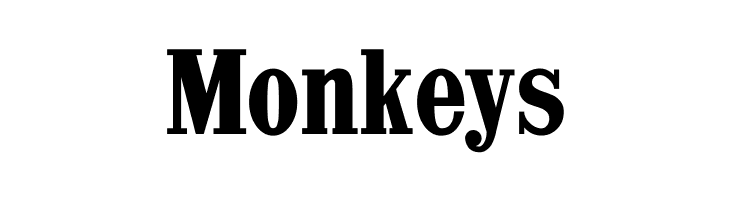 CastlePressNo1  Free Fonts Download