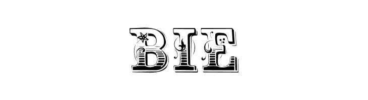 Holtzschue Regular  Free Fonts Download