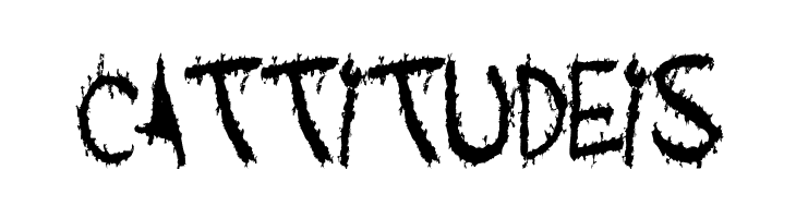 Acquaintance  Free Fonts Download