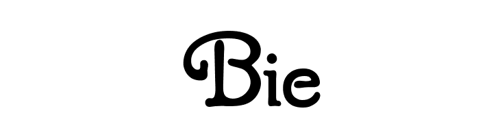 Puritan Swash Bold  Free Fonts Download
