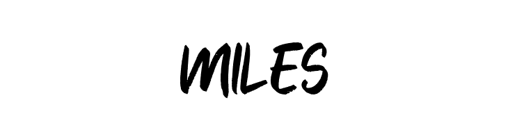 Blankers  Free Fonts Download