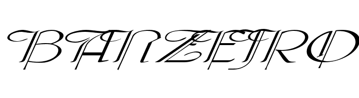 Galerìa Coruña 2008 by Lage EXT NRM Italic  Free Fonts Download