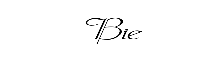 Galerìa Coruña 2008 by Lage EXT NRM Italic  Free Fonts Download