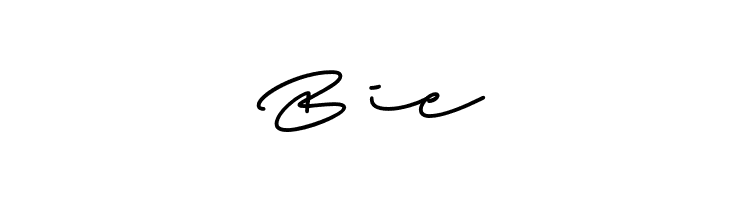 Beach Script Regular  Free Fonts Download