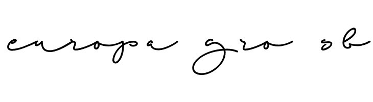 Beach Script Regular  Free Fonts Download