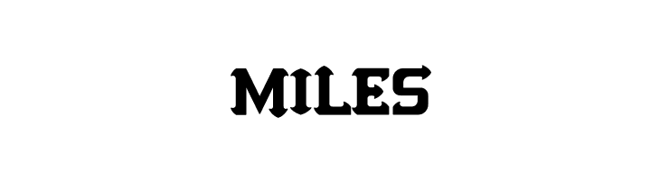 Night Hunt Demo  Free Fonts Download