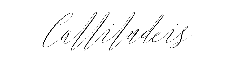 ArgentinaScript-Italic  Free Fonts Download