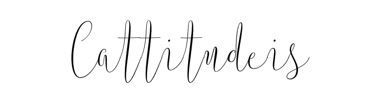 ArgentinaScript  Free Fonts Download