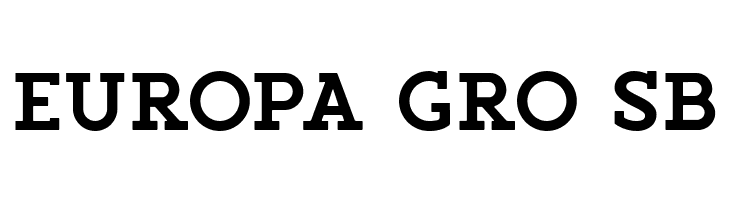 SalveationSlab  Free Fonts Download