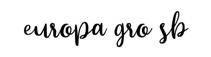 Beyonce  Free Fonts Download