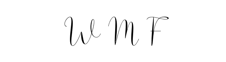 Solidar Light  Free Fonts Download