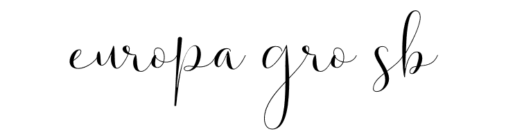 Solidar Light  Free Fonts Download