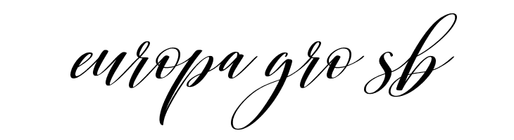 Shington  Free Fonts Download