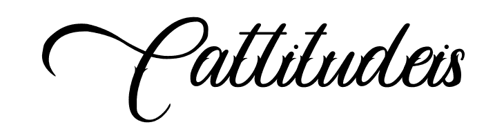 Daisuky Fancy  Free Fonts Download