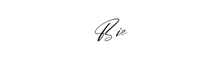 Brittany Angella  Free Fonts Download
