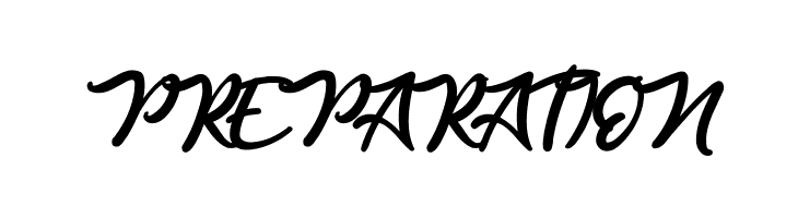 Anjelica Script  Free Fonts Download