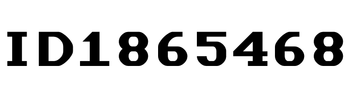 Data Sun Fixed-Width  Free Fonts Download