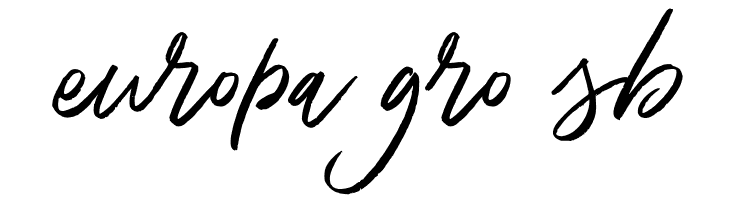 DeathZone  Free Fonts Download