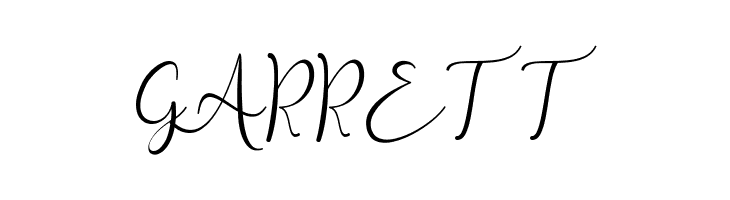 Snowy Holiday  Free Fonts Download