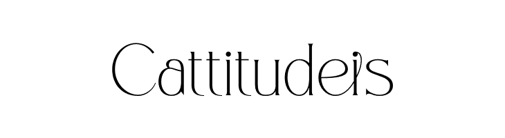 Blosvet  Free Fonts Download