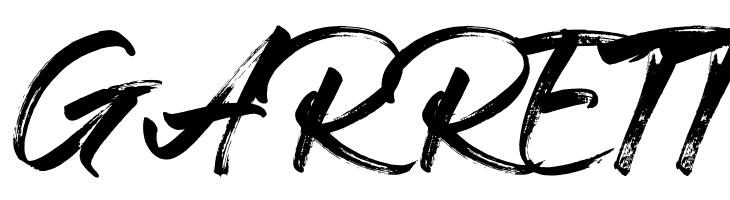 Braga  Free Fonts Download