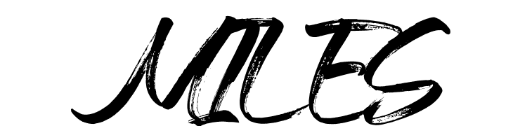 Braga  Free Fonts Download