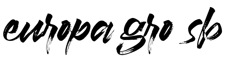 Braga  Free Fonts Download