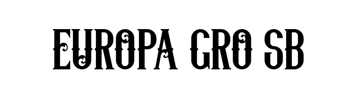 Lifer  Free Fonts Download