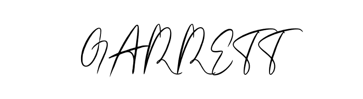 Amettasignature  Free Fonts Download