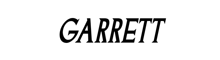 Goodfish-BoldItalic  Free Fonts Download