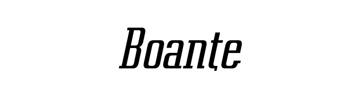 Vahika-Italic  Free Fonts Download