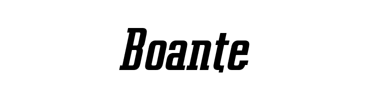 Vahika-BoldItalic  Free Fonts Download