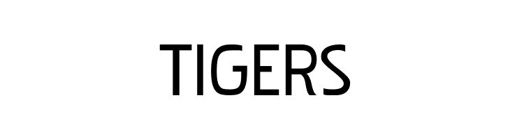 PakenhamRg-Regular  Free Fonts Download