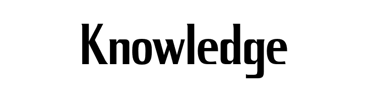 KingRichard-Regular  Free Fonts Download