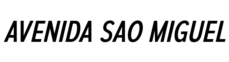 AutoradiographicRg-Italic  Free Fonts Download