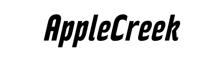 RakeslyRg-BoldItalic  Free Fonts Download