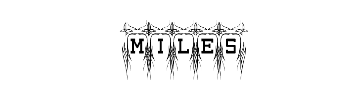 Poke-Regular  Free Fonts Download