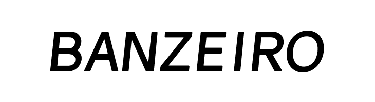 Gravity Bold Italic  Free Fonts Download