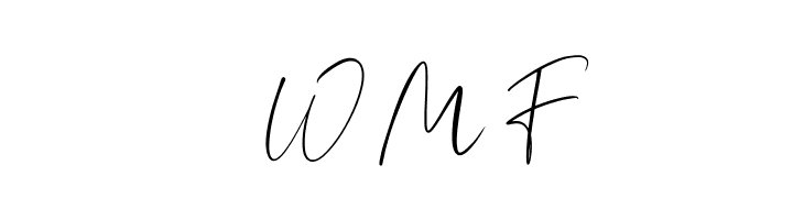 Boilgo  Free Fonts Download