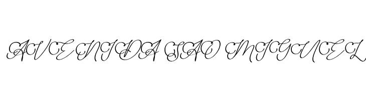 Adisty  Free Fonts Download