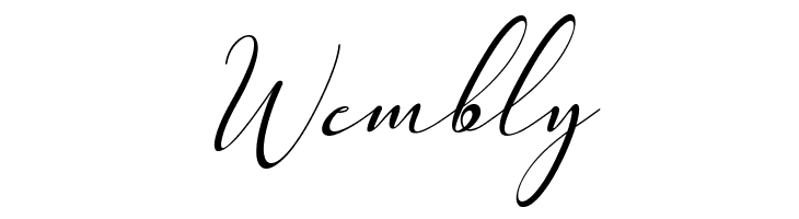 Pretty Willie Italic  Free Fonts Download