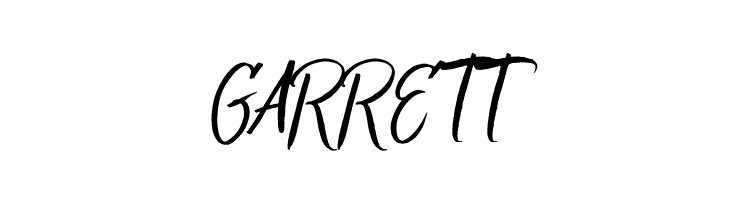 Bringshoot  Free Fonts Download