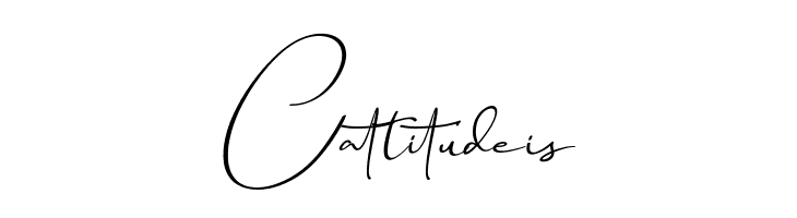 Travel Soulmates Signature  Free Fonts Download