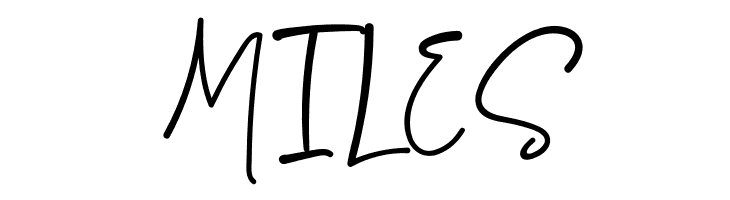 Bigfish  Free Fonts Download